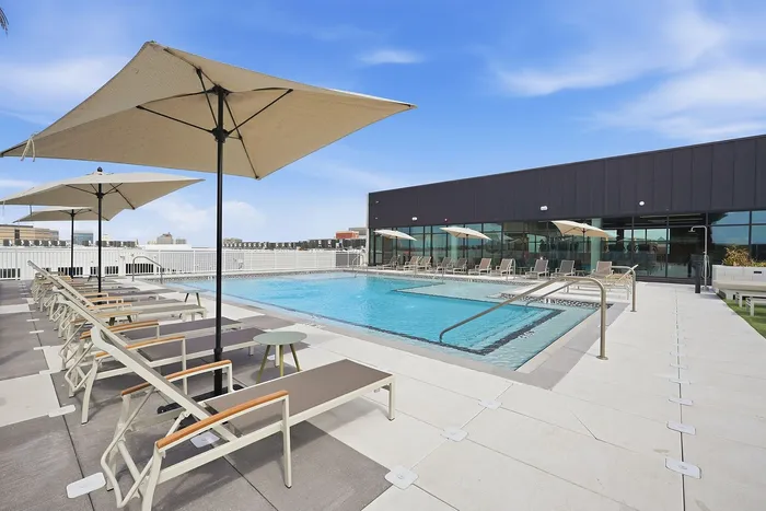 Luxurious rooftop pool area with sun loungers and umbrellas, ideal for relaxation and outdoor leisure under a clear blue sky.