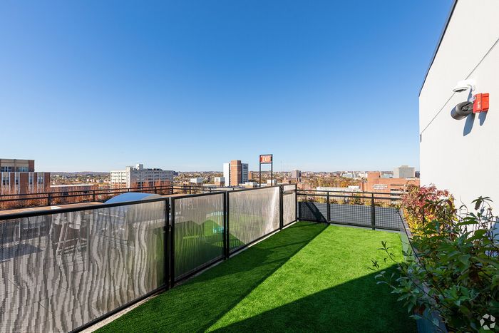 Sunny rooftop patio with lush green grass offering a stunning panoramic city view.