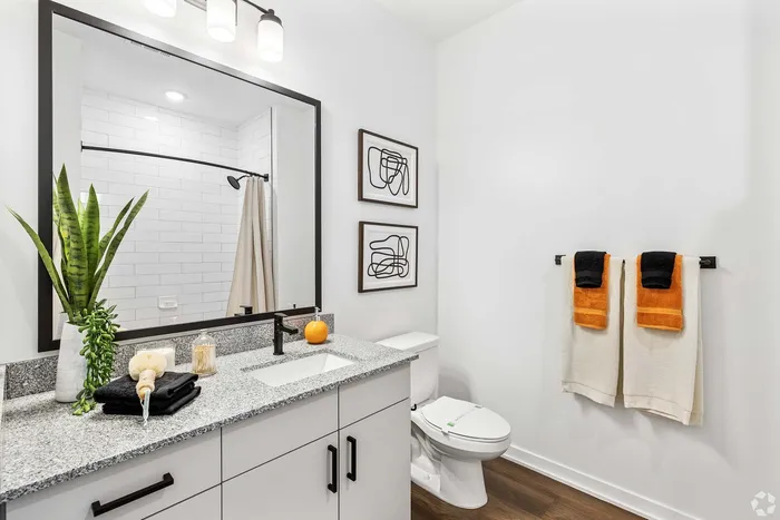 Elegant bathroom with modern granite countertop, stylish black fixtures, and decorative art pieces. Features vibrant towels and lush greenery, offering a fresh and inviting atmosphere.