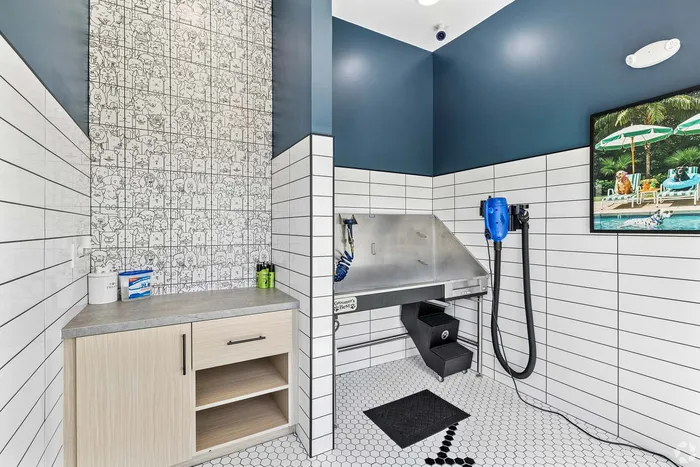 Modern pet grooming room with chic blue accents, playful wall art, and a stainless steel wash station for convenience and style.