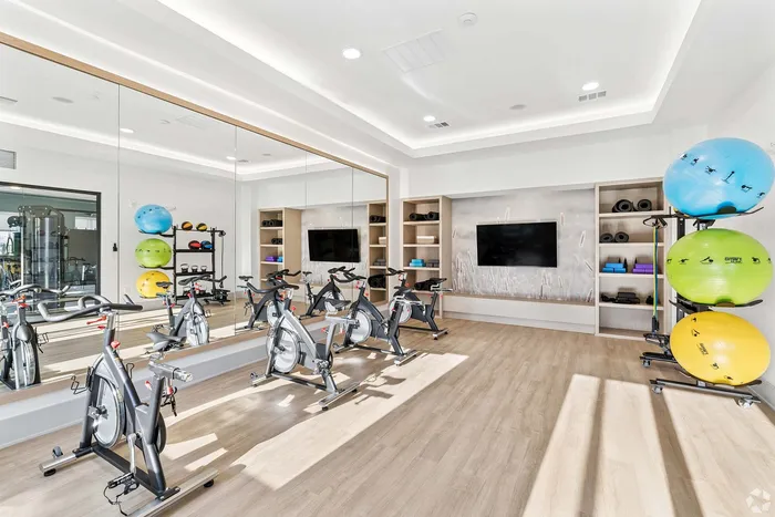Bright modern fitness room featuring exercise bikes, colorful stability balls, wall-mounted TV, and mirrored wall for a dynamic workout experience.