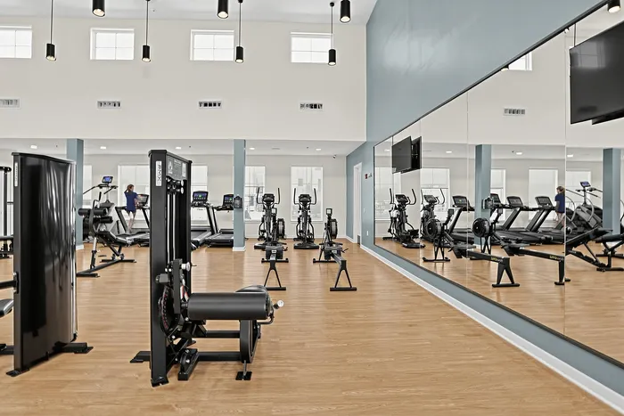Ivy & Elm - Spacious Gym