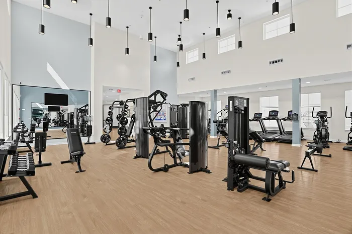 Ivy & Elm - Spacious Gym