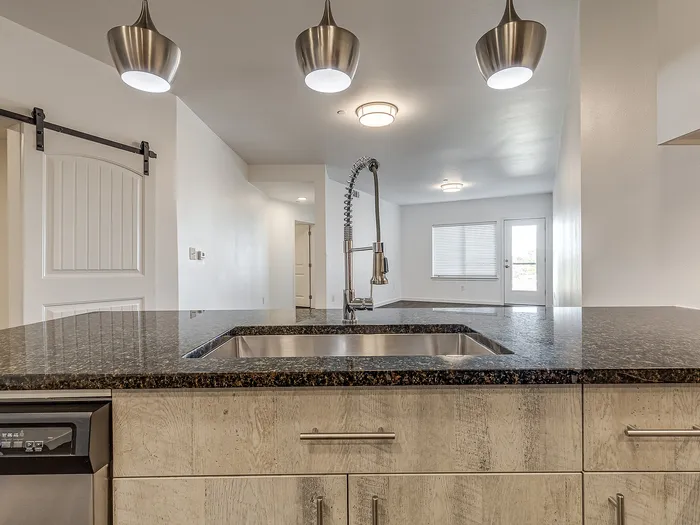 One Bedroom (A3) - 727 Lofts