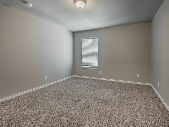 Inviting empty room with soft carpet flooring and a window with blinds, ready for customization.