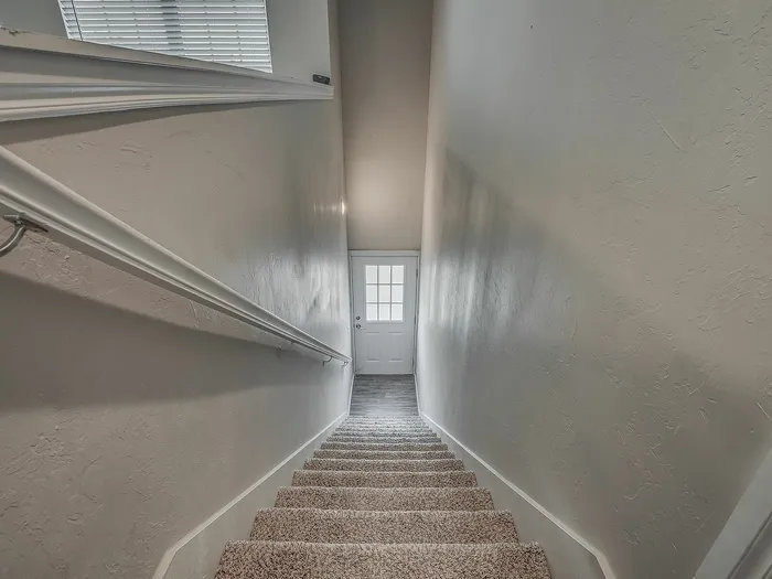 Bright staircase with carpeted steps leading to a door with natural light streaming in.