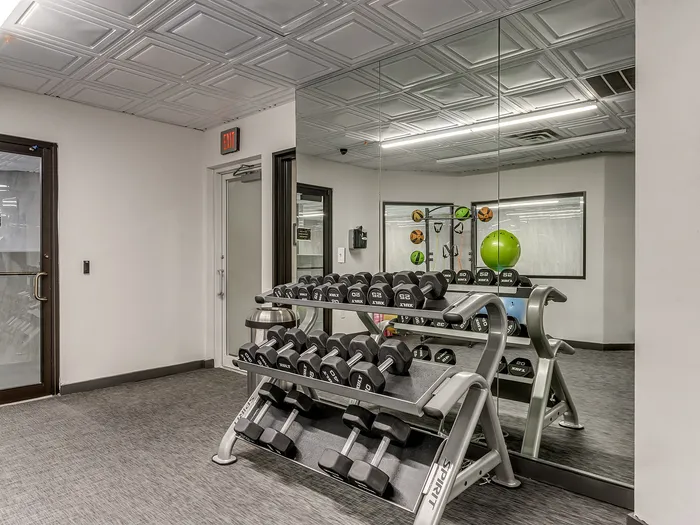 Modern fitness room equipped with a sleek dumbbell rack and vibrant exercise balls.