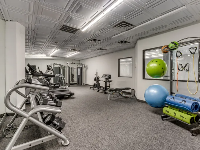 Modern fitness center with state-of-the-art equipment, including treadmills, free weights, and exercise balls, offering a bright and motivating space for workouts.