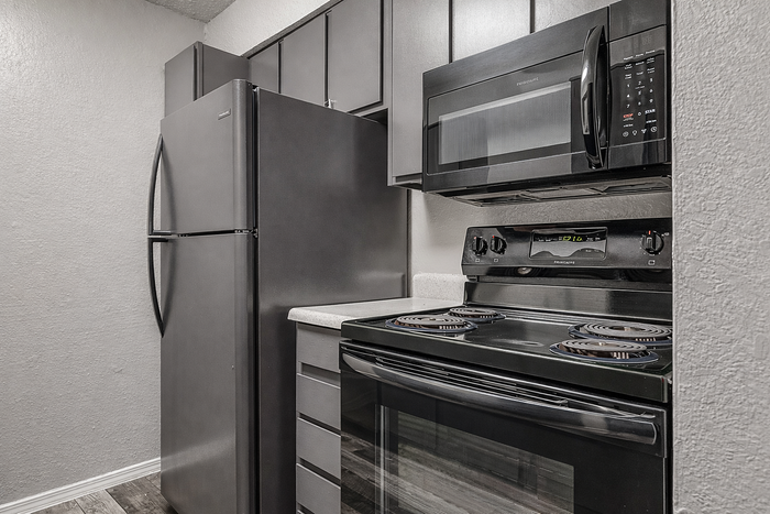 Sleek modern kitchen with stainless steel appliances and dark cabinetry, perfect for culinary enthusiasts.