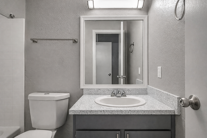 Modern bathroom with sleek fixtures, granite countertop, and large mirror exuding elegance and style.