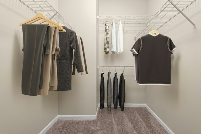 The Brooke Apartments in Atlanta, GA | apartment closet