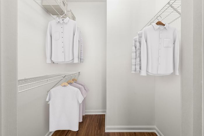 The Brooke Apartments in Atlanta, GA | closet