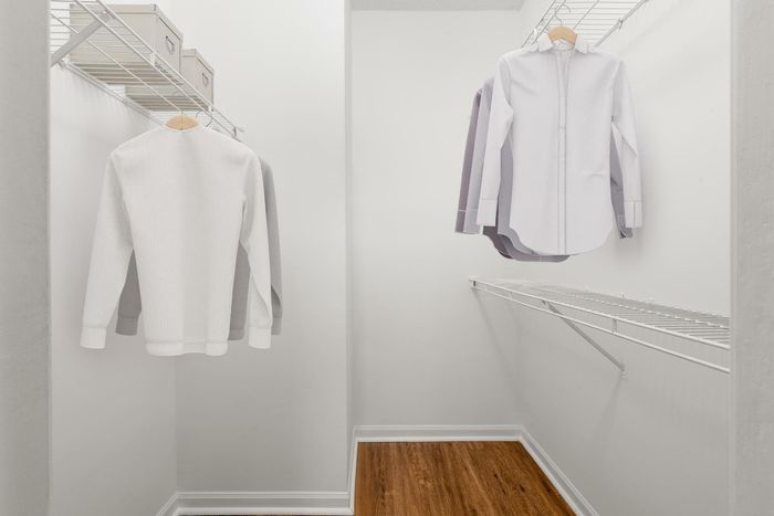 The Brooke Apartments in Atlanta, GA | closet