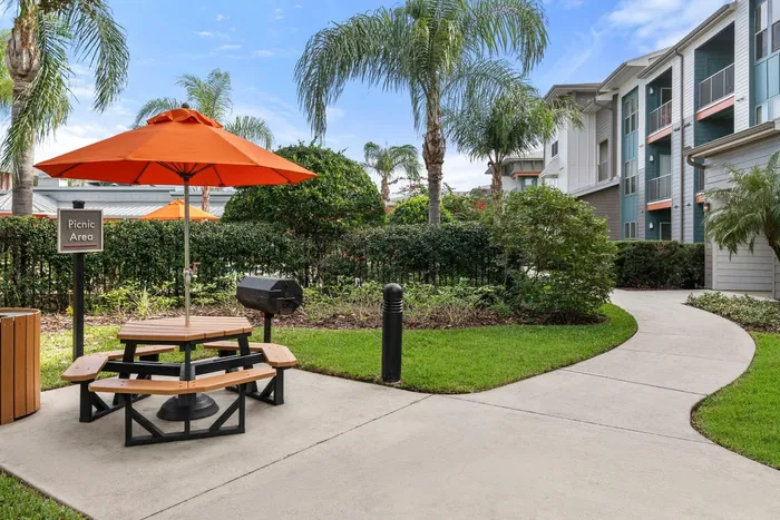 Picnic | Apartments in Tampa, FL | Crosstown Walk