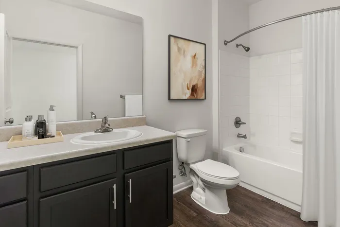 Bathroom | Apartments in Tampa, FL | Crosstown Walk