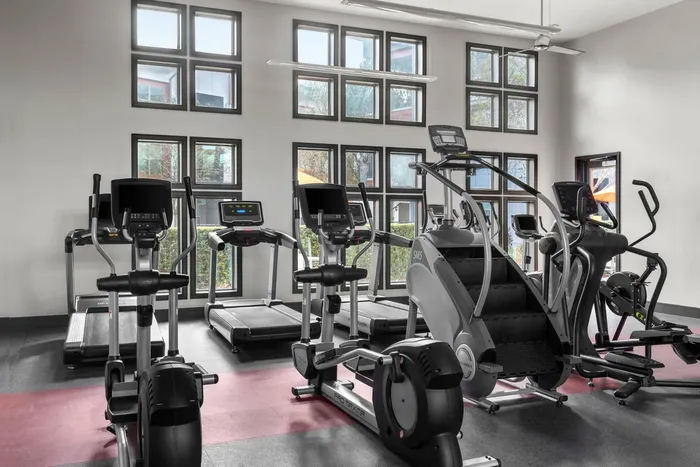 | Apartments in Tampa, FL | Crosstown Walk