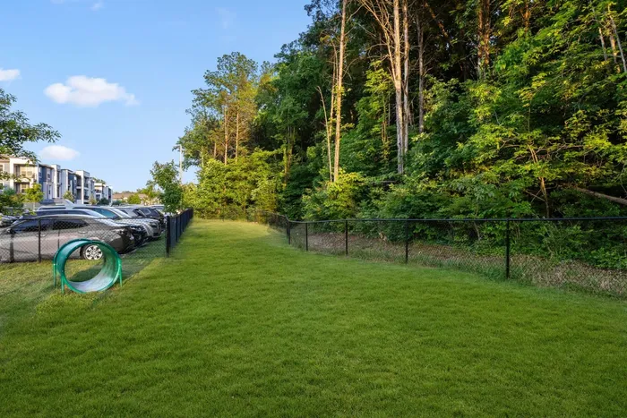 Pet Park | The Anson | Nashville TN Apartments