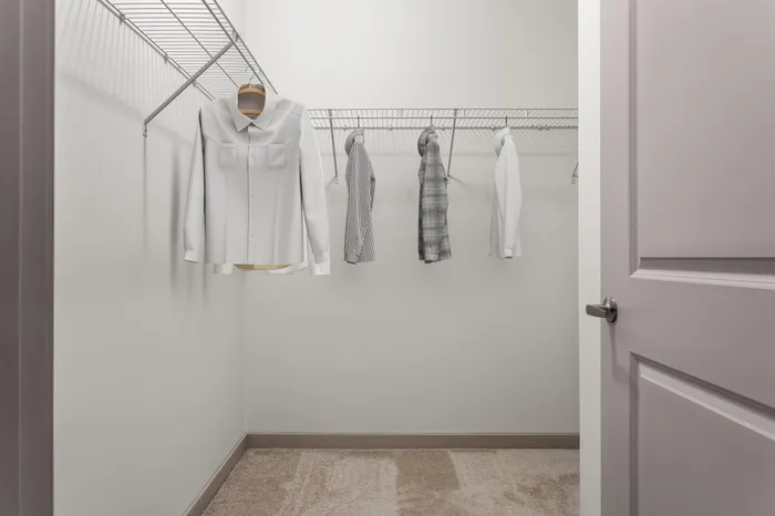 Classic Large Closet