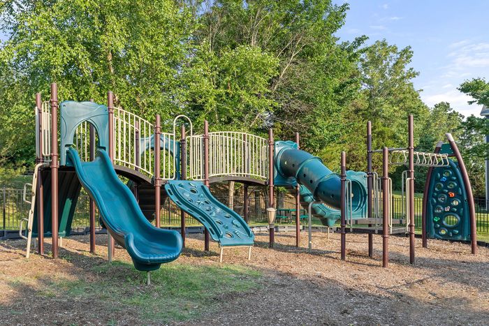 Inviting playground with vibrant slides, climbing structures, and a tunnel slide surrounded by lush greenery.