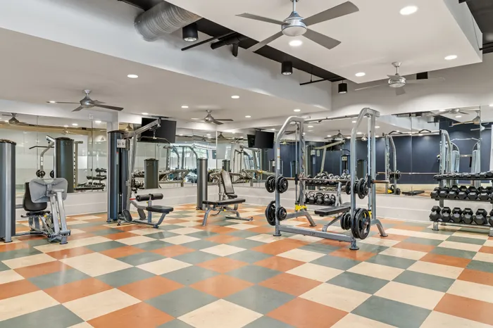 Modern fitness center with diverse gym equipment and spacious mirrored walls for a motivating workout environment.