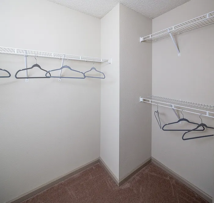 Spacious walk-in closet with ample shelving and carpeted flooring, perfect for organized storage.