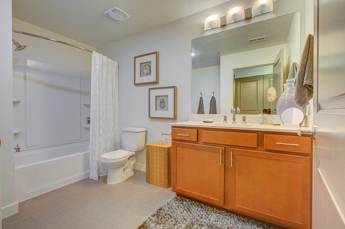 Modern Apartments in Salt Lake City, UT - ViA - Bright Bathroom With Wood Vanity, Wide Mirror, Modern Light Bar, and Tub-Shower With Curtain and Built-In Shelving.