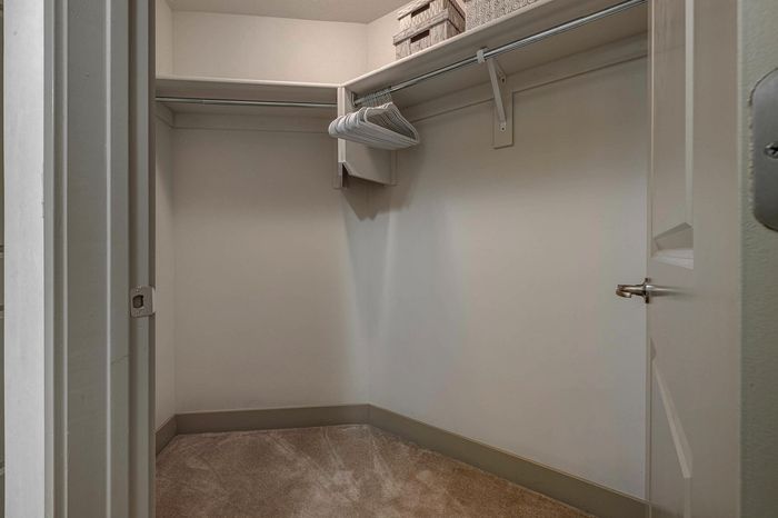 Spacious walk-in closet with built-in shelving, neutral walls, and plush carpet, ideal for organized storage.
