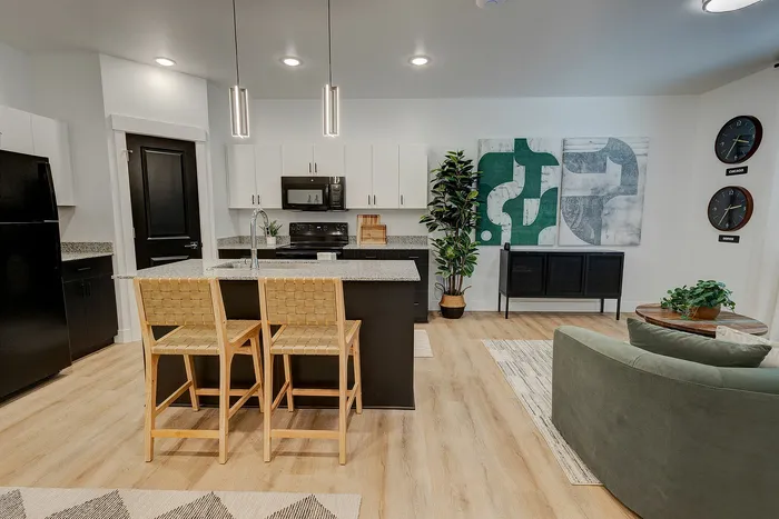 Modern open-plan kitchen and living area with stylish decor, featuring a granite countertop island, sleek black and white cabinetry, and cozy seating, perfect for entertaining.