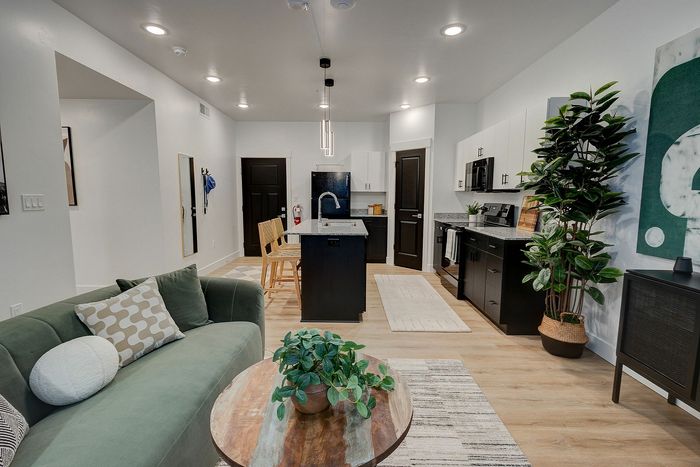 Contemporary open-plan apartment with a cozy living room, stylish kitchen, and elegant decor featuring modern lighting and vibrant greenery.