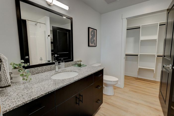Modern bathroom featuring a sleek granite countertop, large mirror, elegant wood cabinetry, and a spacious open closet.