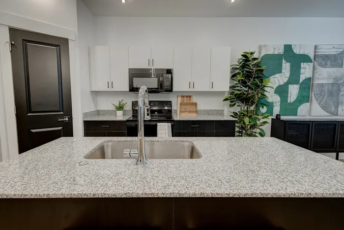 Modern kitchen with sleek granite countertops, stainless steel sink, stylish cabinetry, and contemporary art accents.