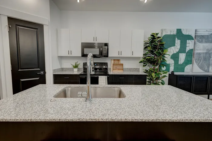 Modern kitchen featuring sleek granite countertops, stylish cabinetry, and vibrant artwork for an elegant touch.
