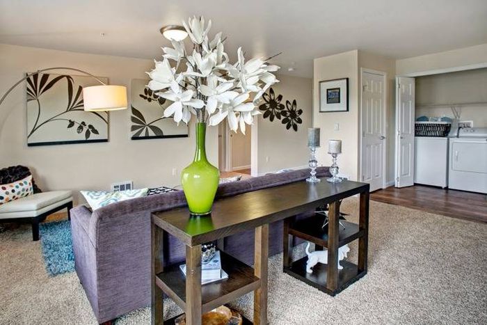 Spacious Living Room | Dupont Washington Apartments | Trax at DuPont Station