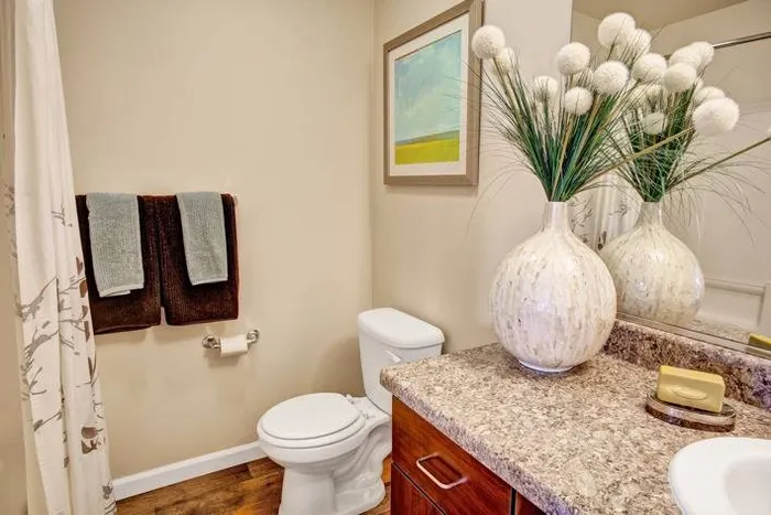 Spacious Bathroom | Dupont Wa Apartments For Rent | Trax at DuPont Station