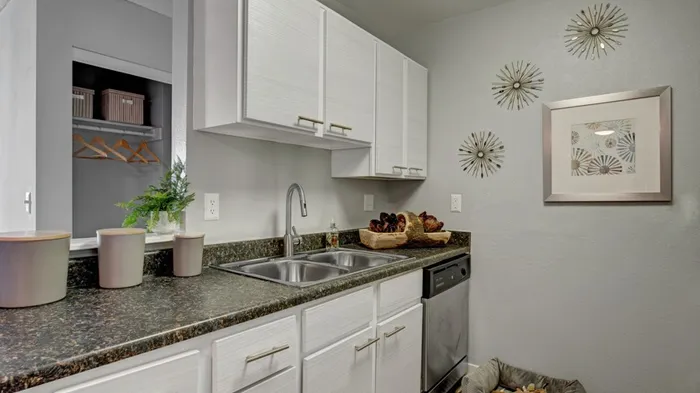 Elegant Kitchen | Apartments For Rent In Aurora Co | The Grove at City Center