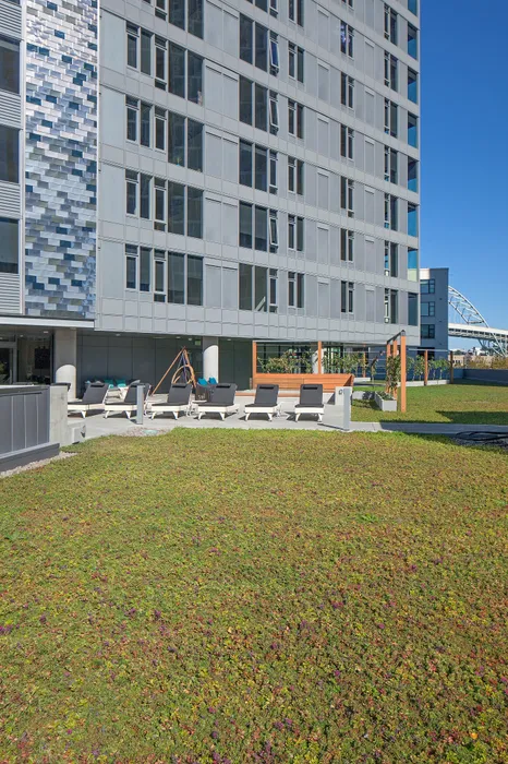 NV green roof