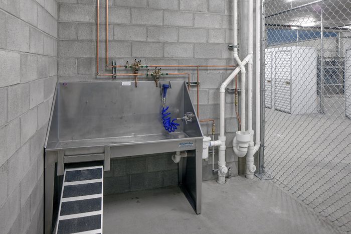 NV dog wash