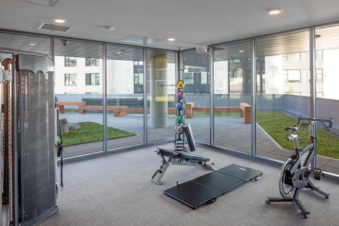 NV gym