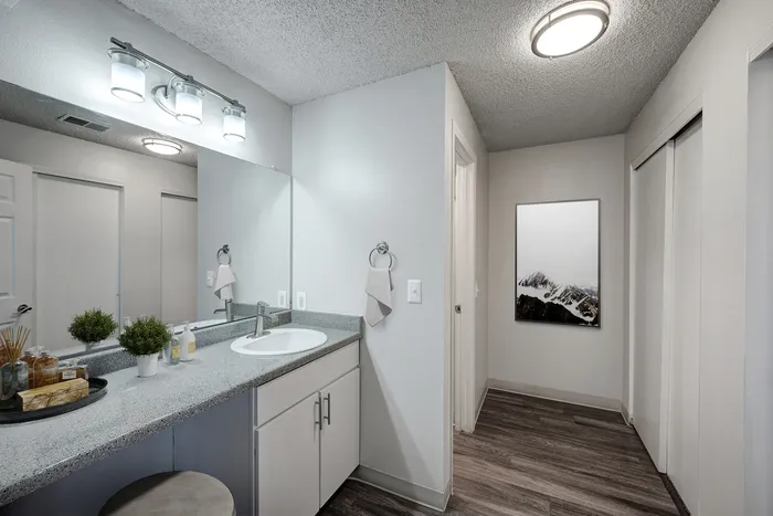 Modern bathroom with sleek countertop and sink