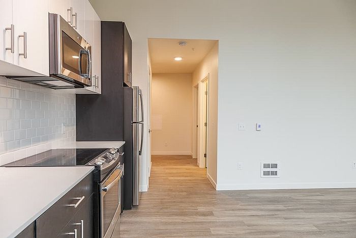 Modern kitchen with sleek stainless steel appliances, elegant cabinetry, and light-filled hallway in a stylish apartment.