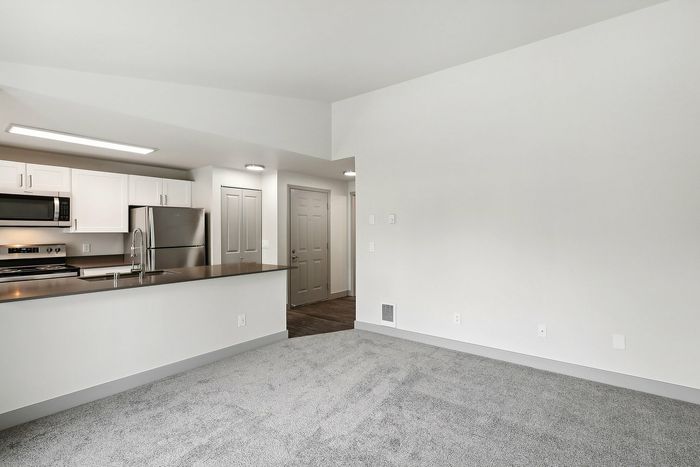 Elegant open-concept kitchen with sleek stainless steel appliances and ample counter space, adjacent to a cozy carpeted living area.