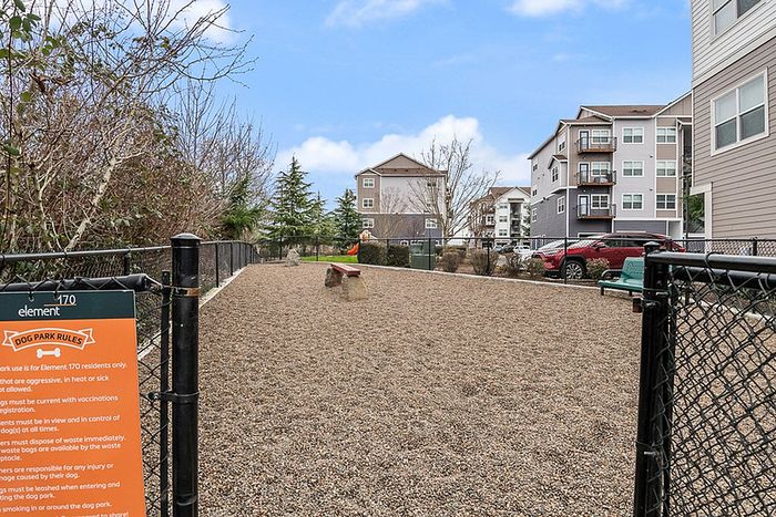 Vibrant apartment complex featuring a spacious, well-maintained dog park with gravel pathway and modern buildings in the background.