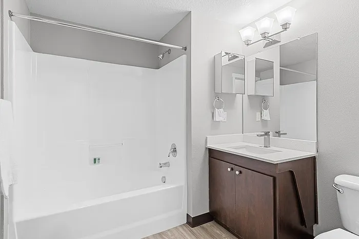 Contemporary bathroom featuring a sleek bathtub, elegant vanity with mirror, and modern lighting.