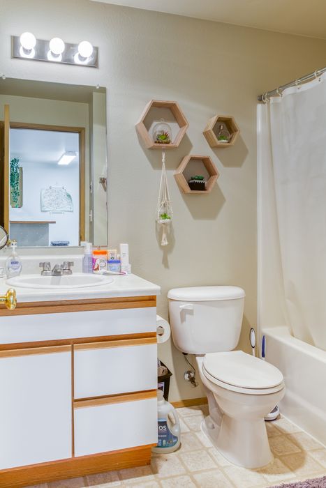 Contemporary bathroom with chic hexagonal wall shelves, pristine white fixtures, and a stylish vanity mirror highlighting a fresh, vibrant look.