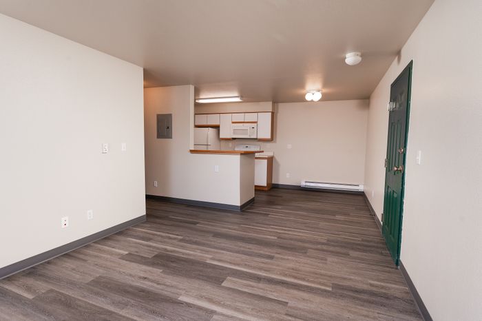 Open-concept apartment with modern kitchen and elegant hardwood floors, offering a spacious and inviting living area.