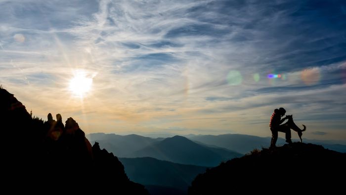 Hiker and furry friend in the mountains at sunset