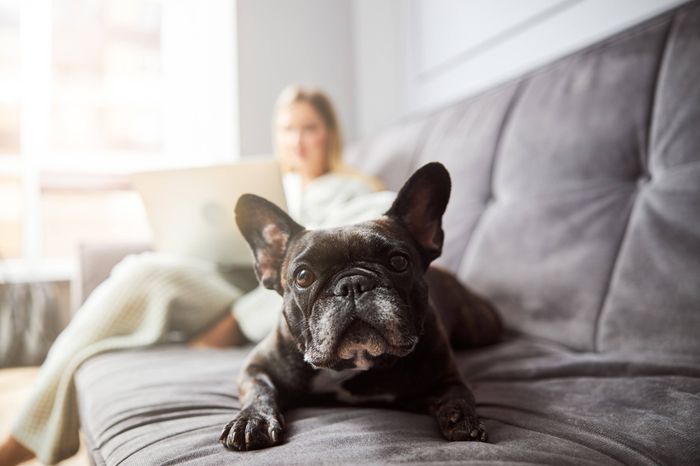 We're pet friendly so go on an snuggle with your furry friend!