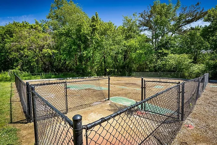 dog park