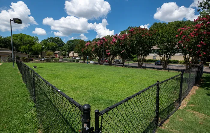 Dog Park