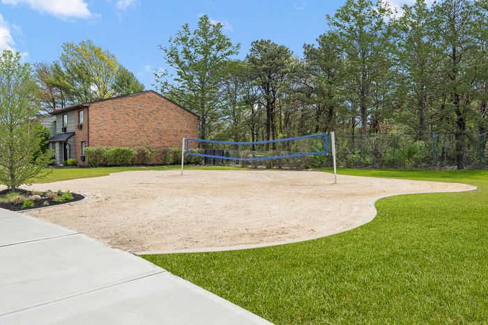 Volleyball